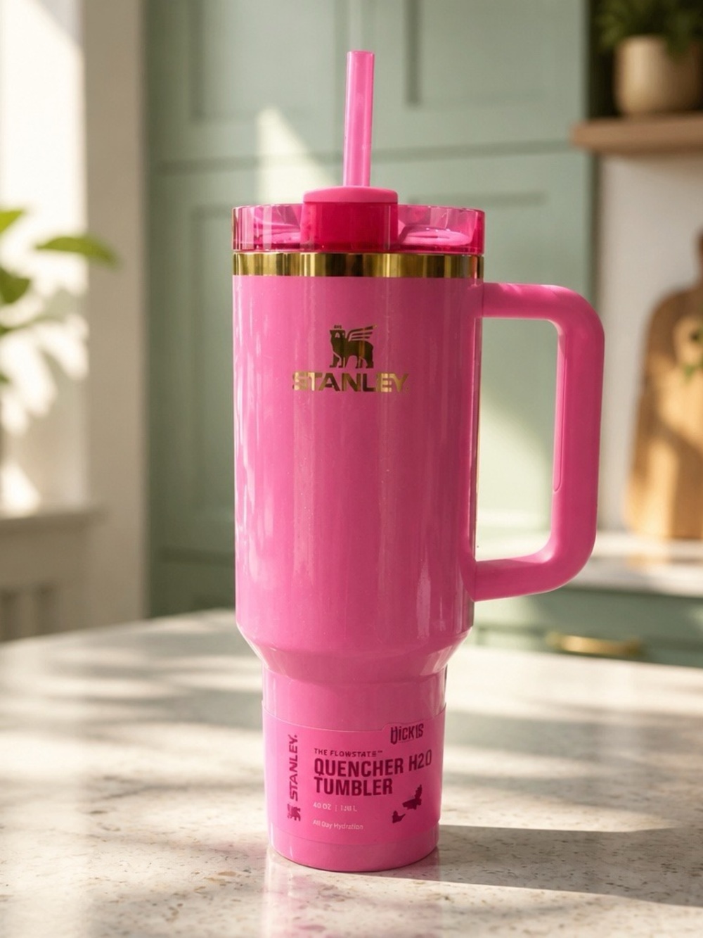 Wicked Stanley Pink Insulated Tumbler with Handle and Reusable Straw - Picture 1 of 10